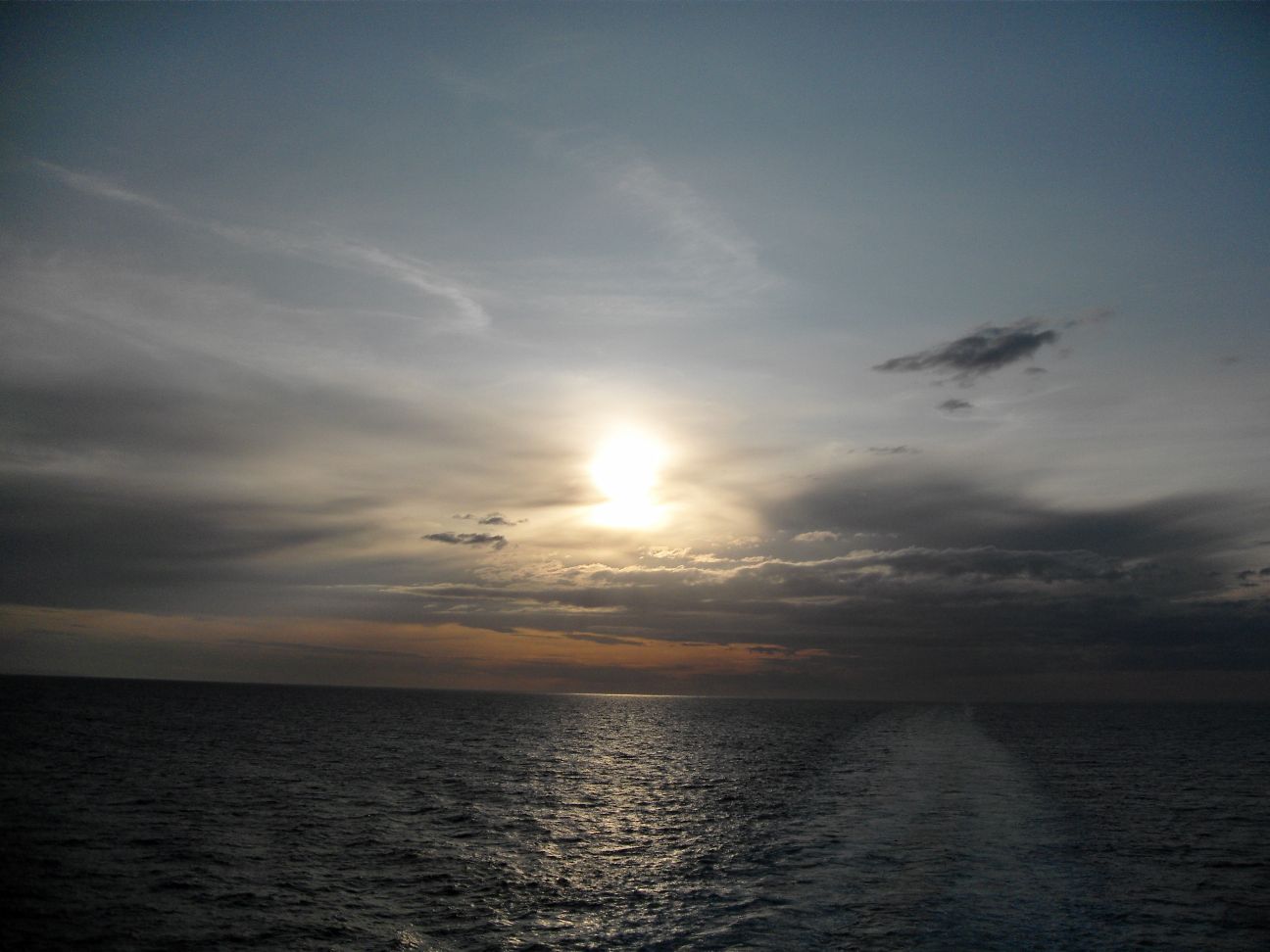 SDC12299_small.jpg