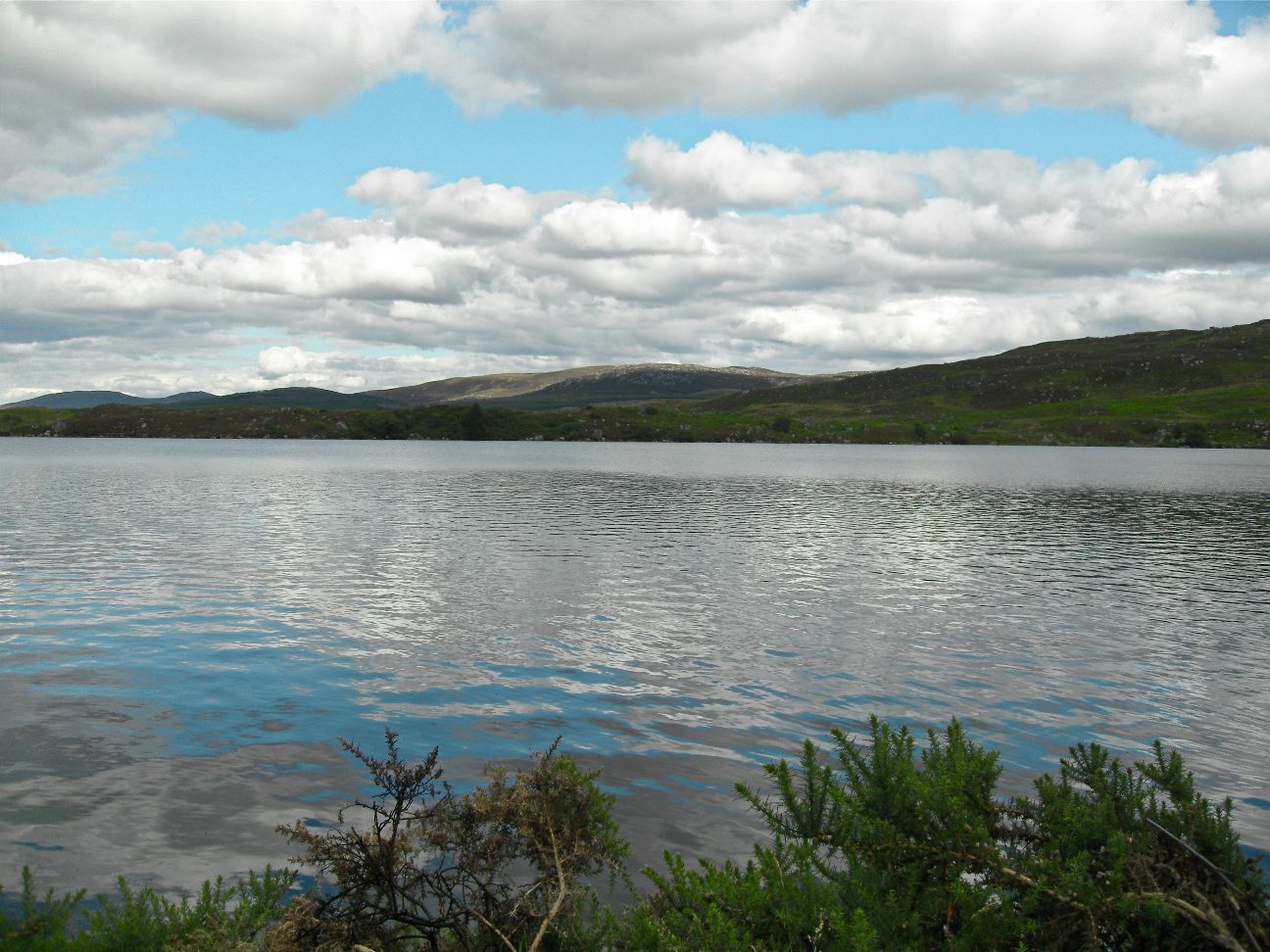 SDC11217.JPG