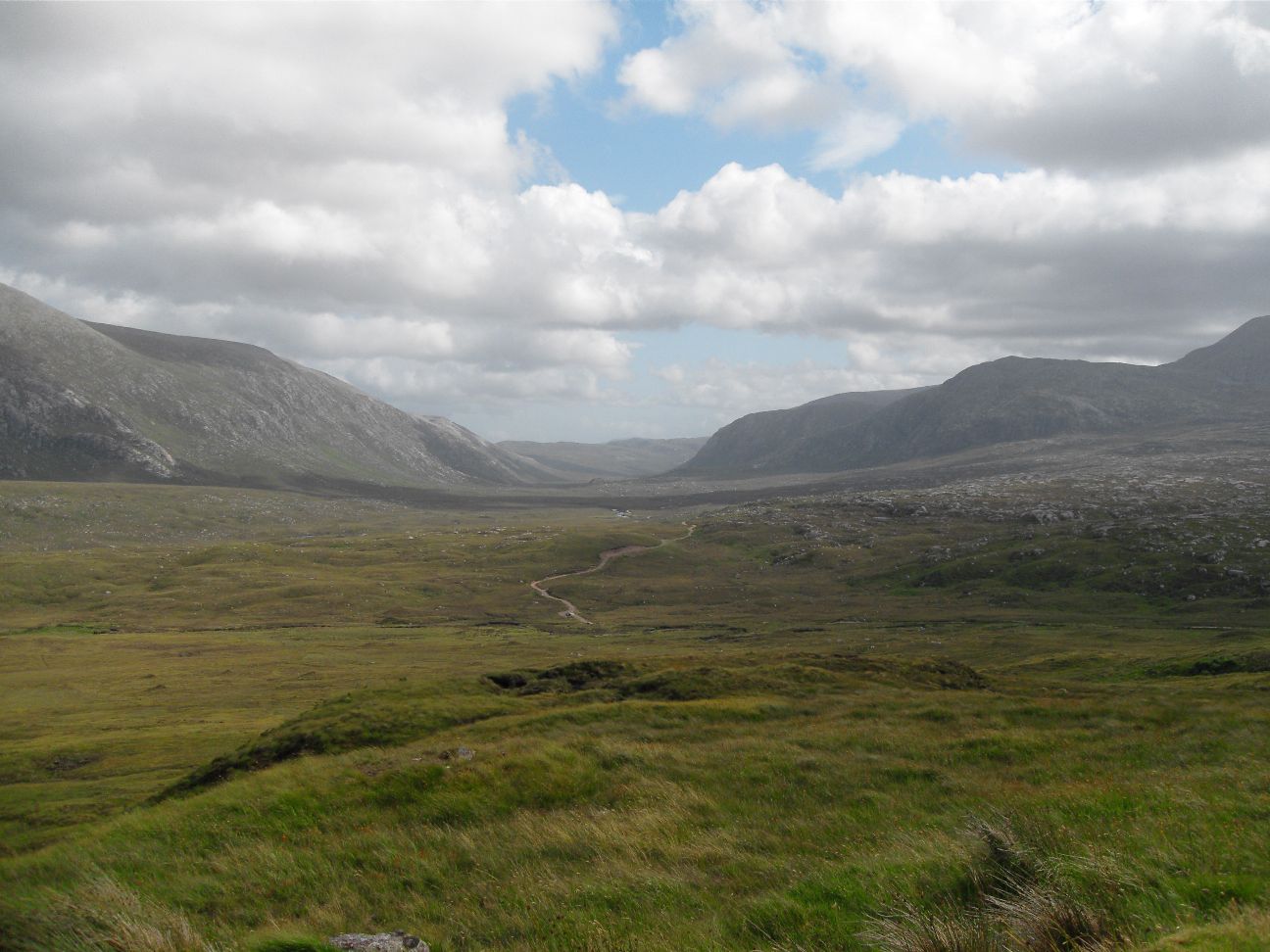 SDC11558.JPG