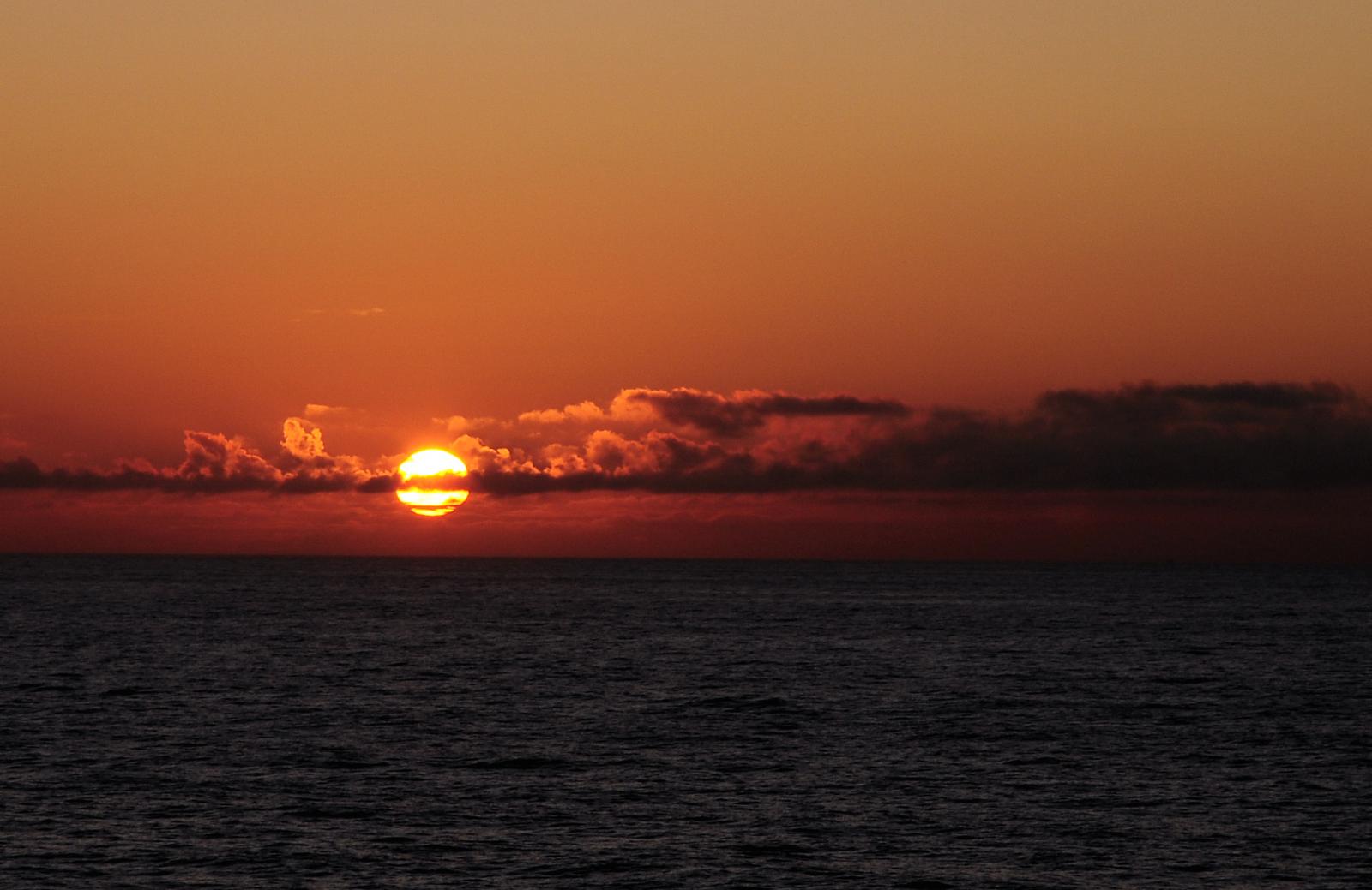 DSC_6260.jpg