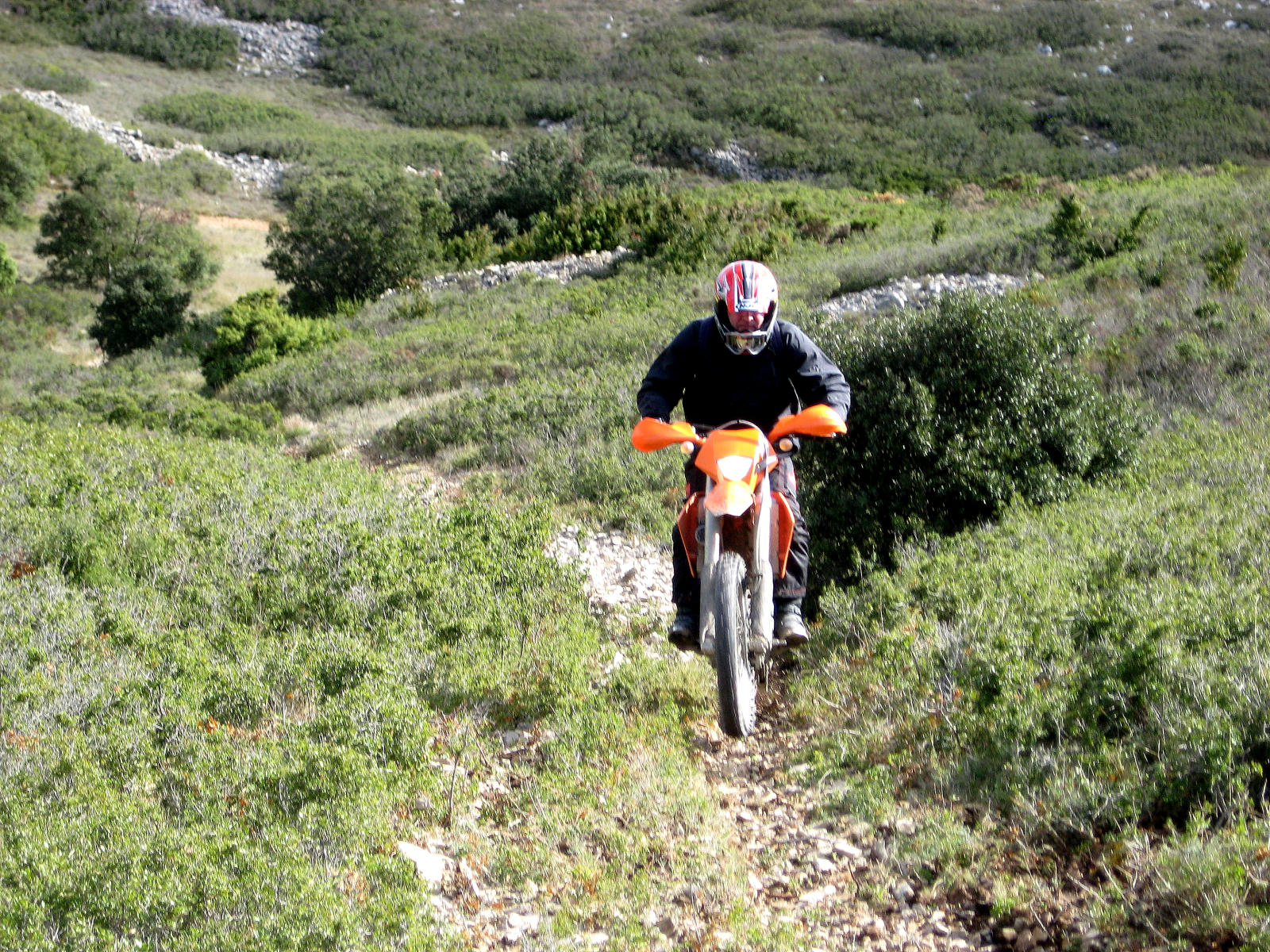 img_3887.jpg