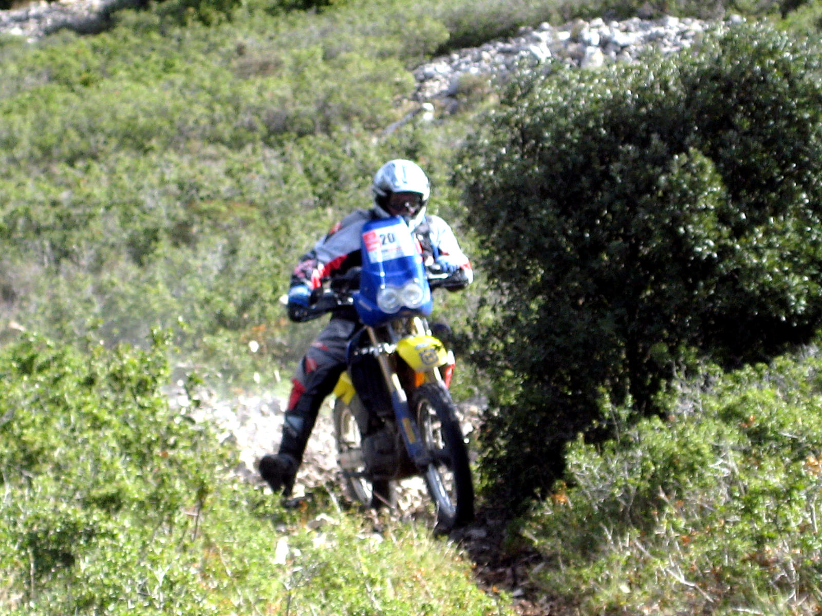 img_3890.jpg