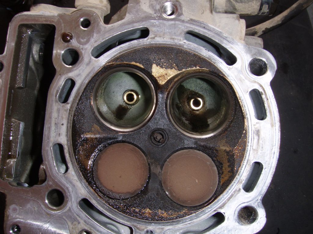 head1.JPG
