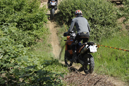 _CMH6702.jpg