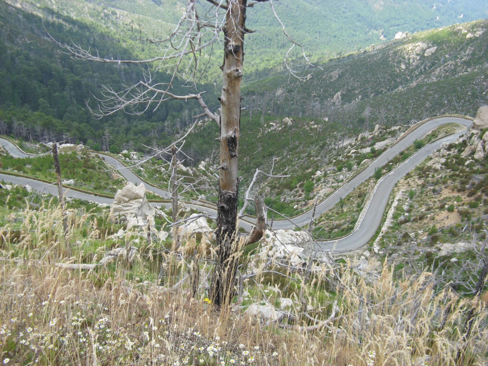 201006261258IMG_2575.JPG