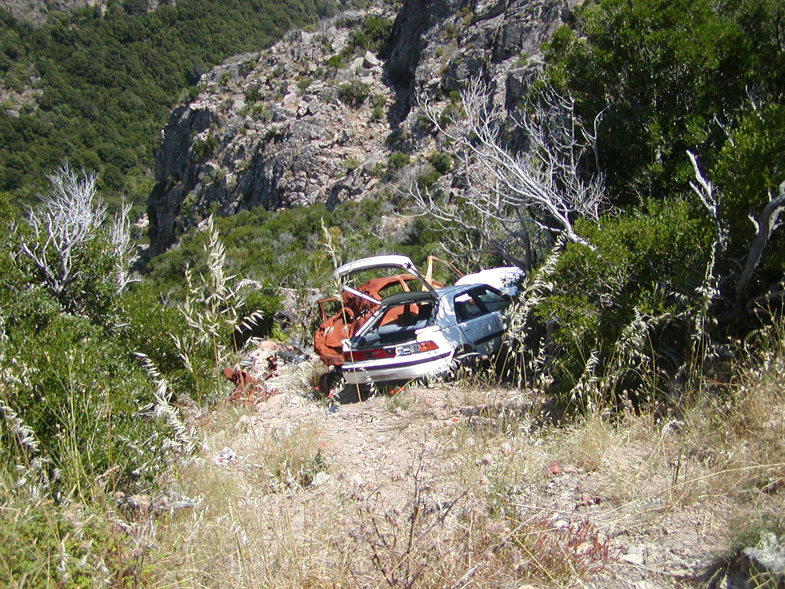 201006271320P6270015.JPG