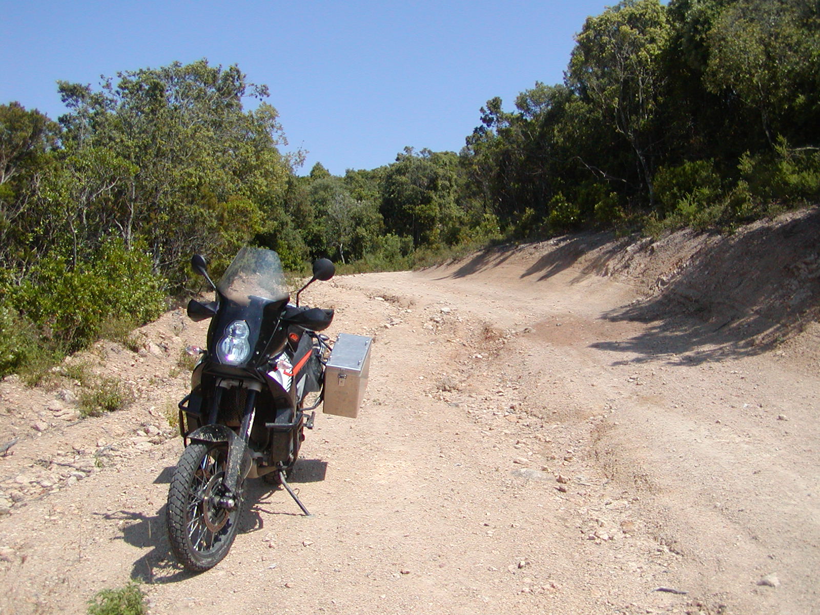201006281554P6280016.JPG