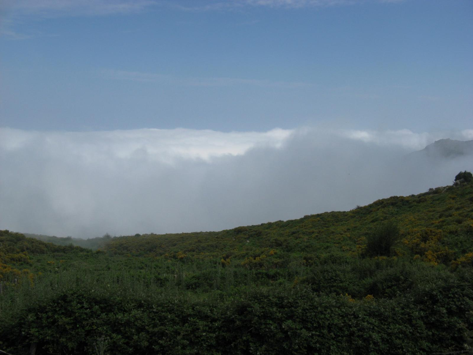 201006301018IMG_2592.JPG