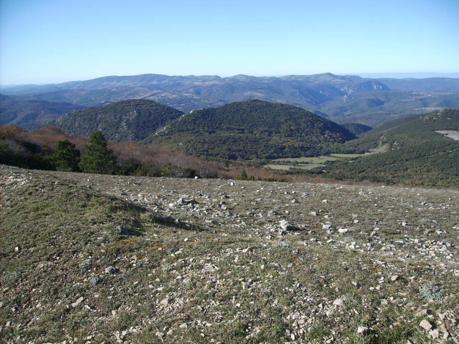 Moux10363.jpg