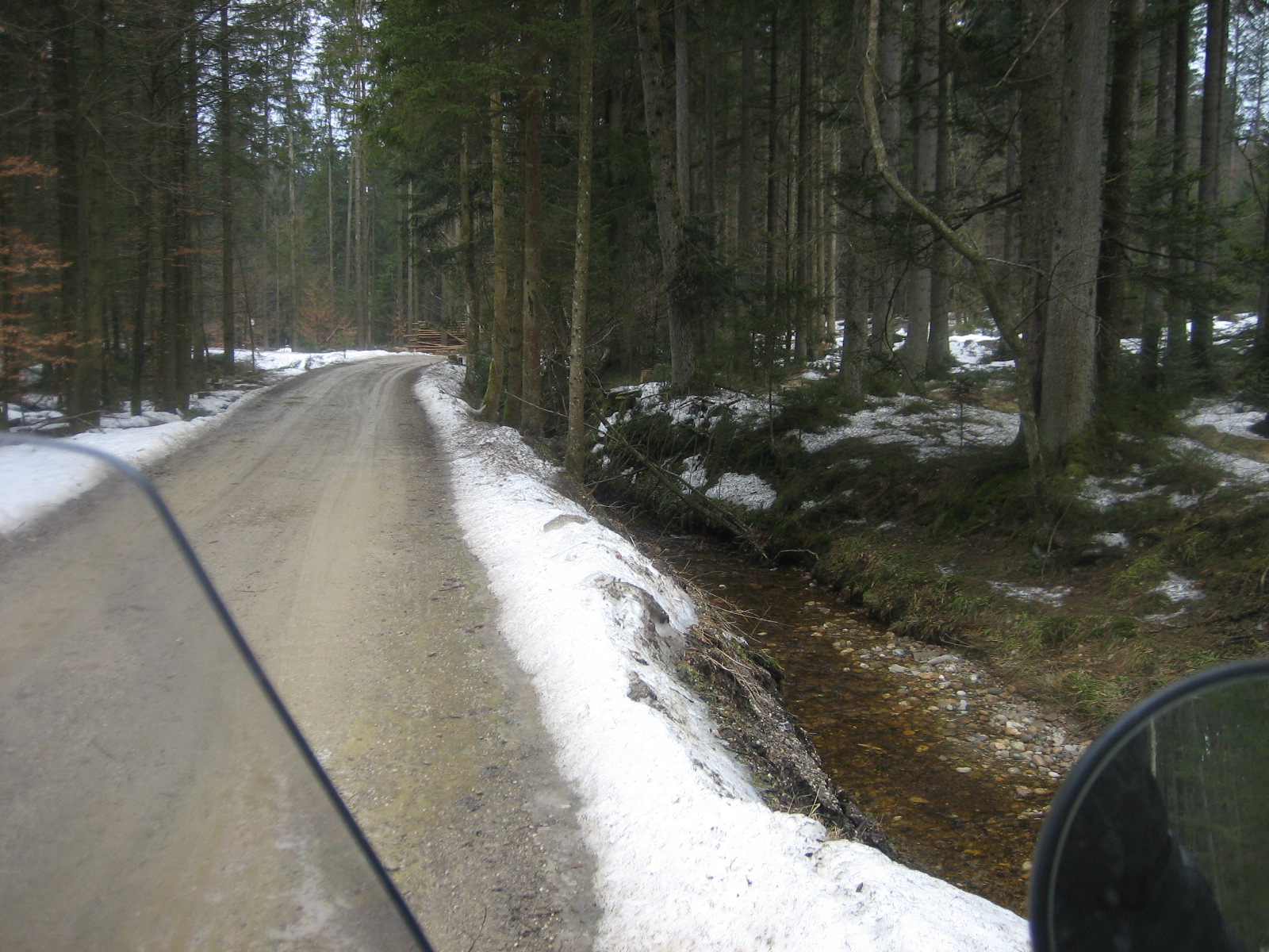 IMG_1584.jpg