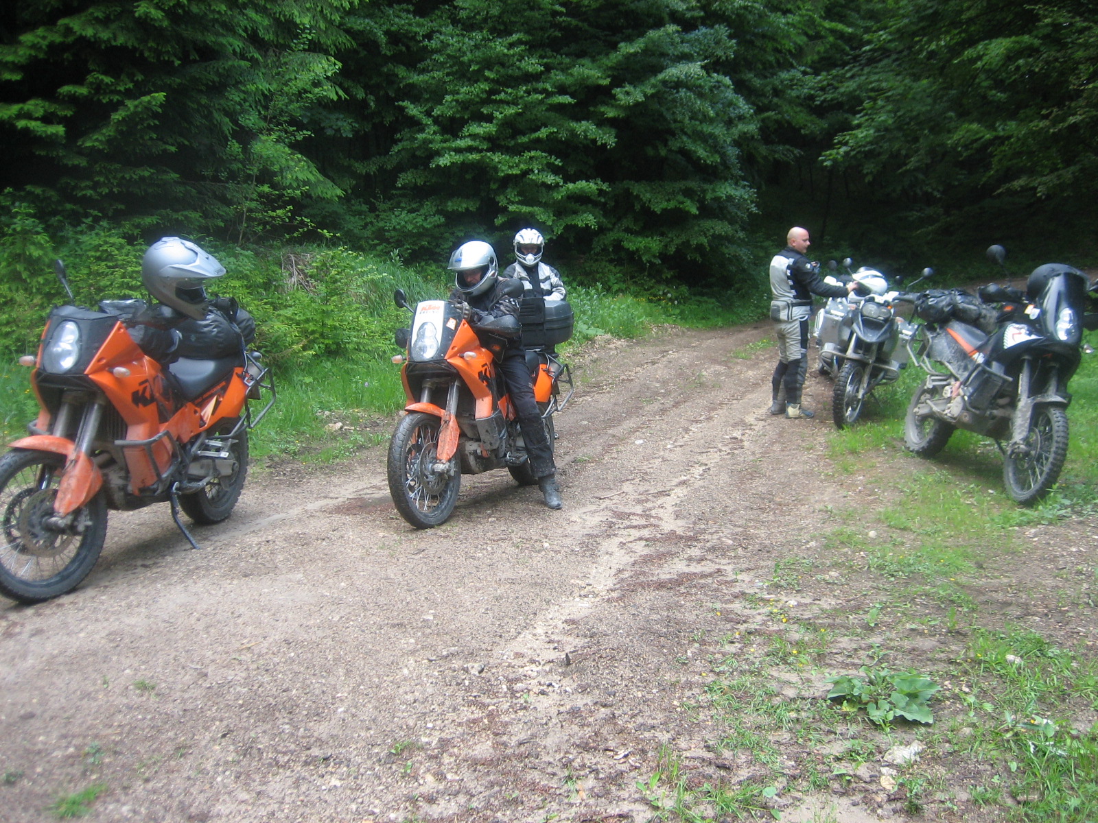 IMG_1686.jpg
