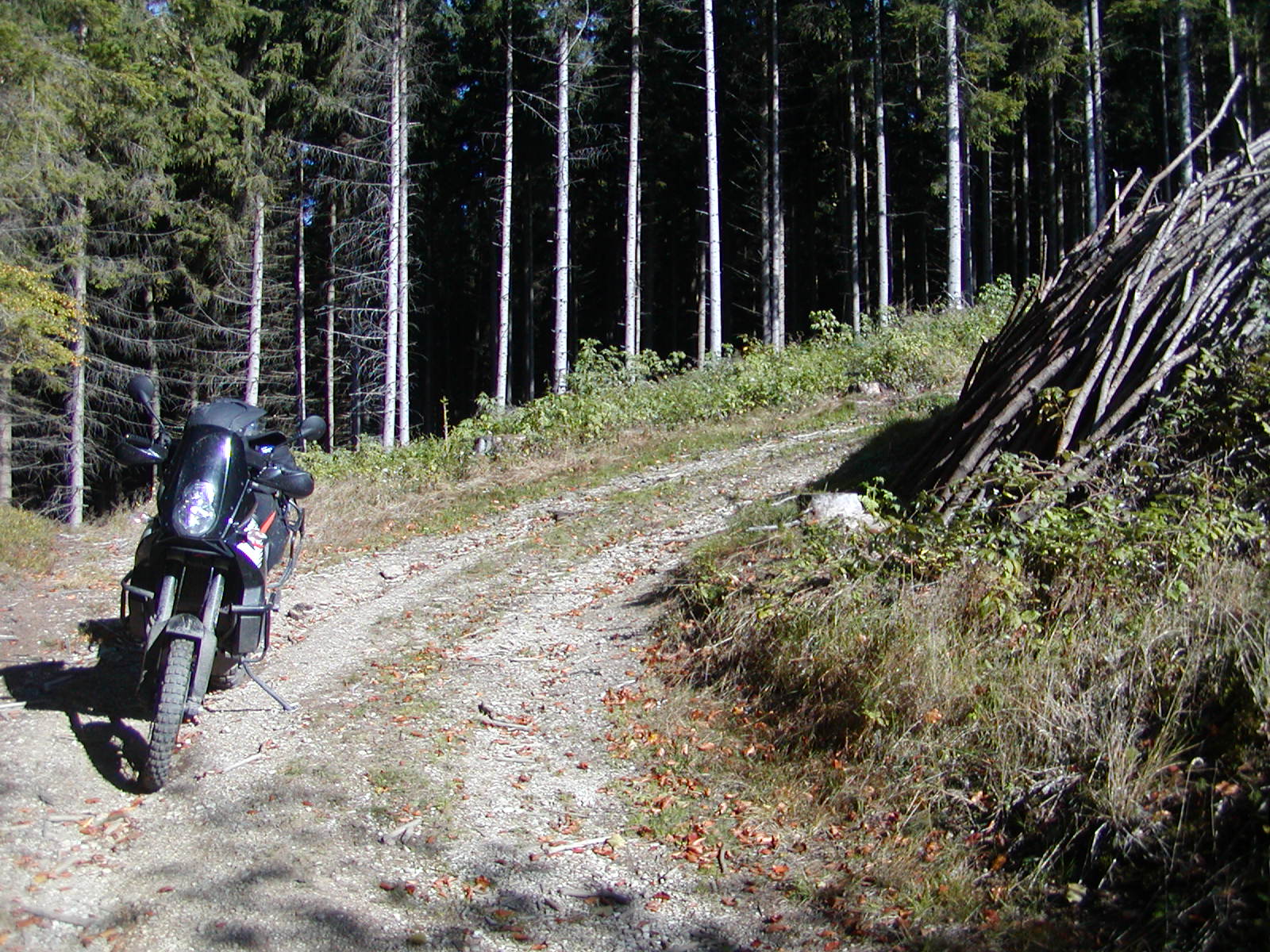 PA140013.JPG