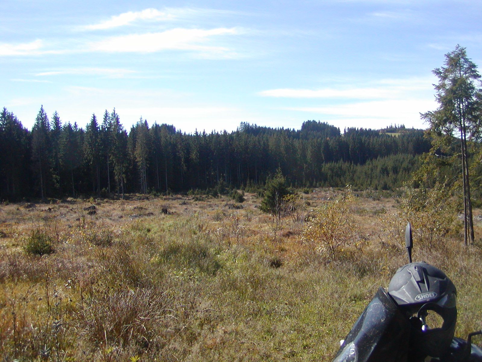 PA140016.JPG