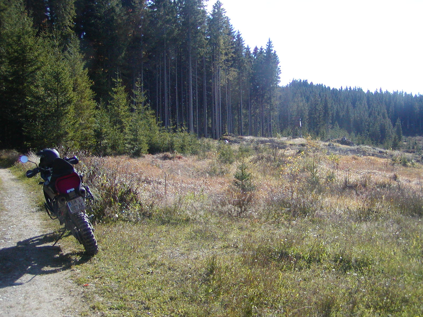 PA140017.JPG