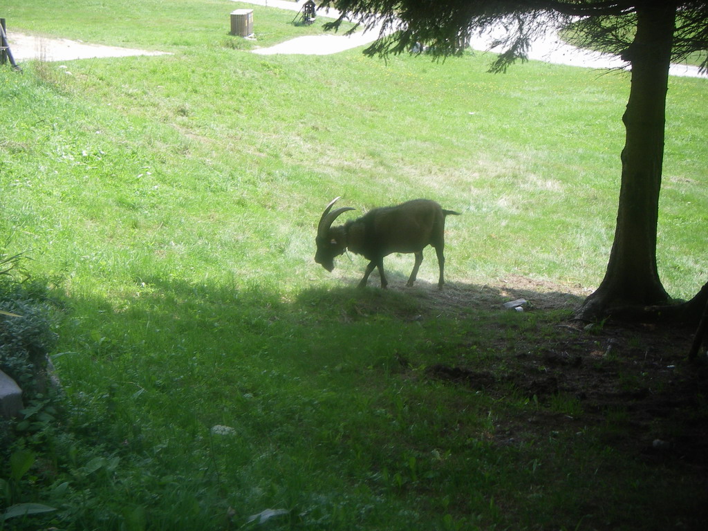 Slovenien 254.JPG