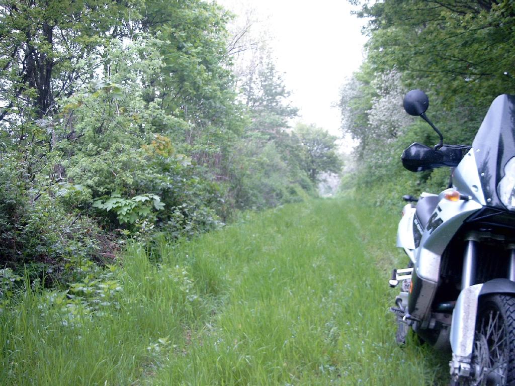 Bild0831.jpg