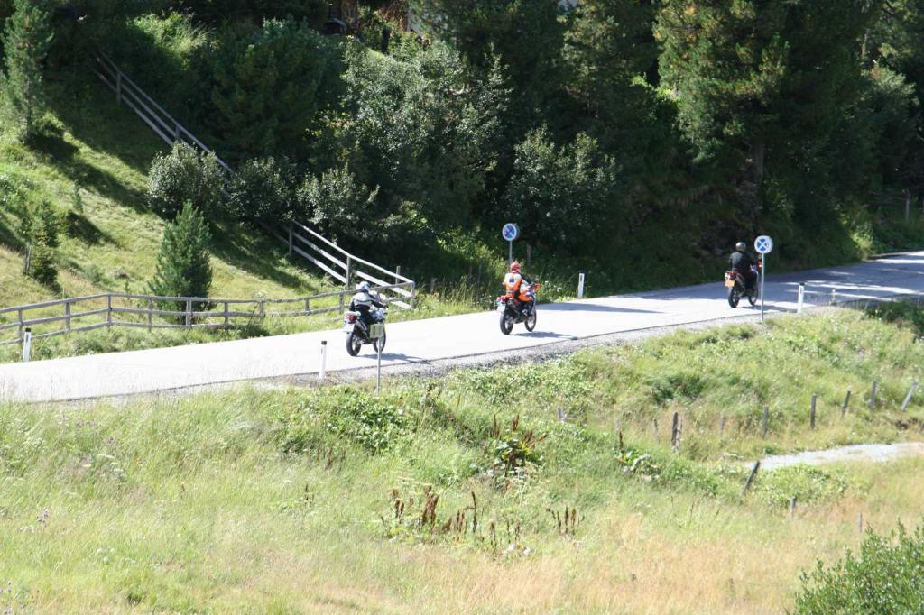 4.LC8.info_Brieftaube_057.JPG