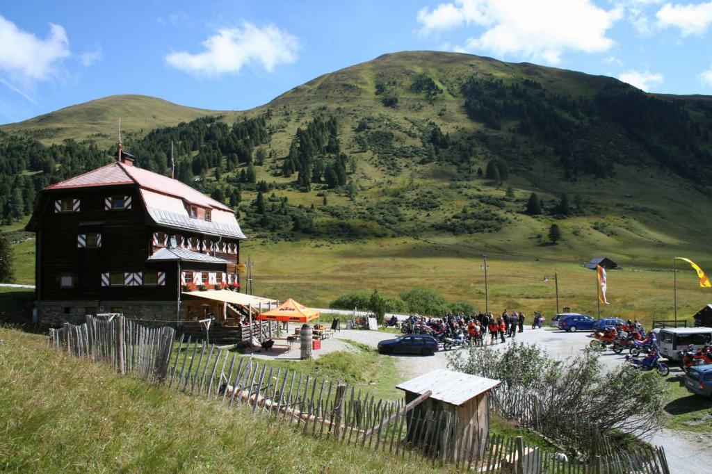 4.LC8.info_Brieftaube_049.JPG