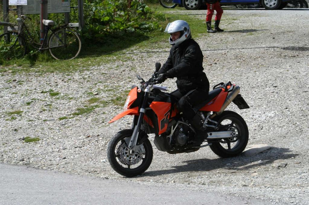 4.LC8.info_Brieftaube_082.JPG