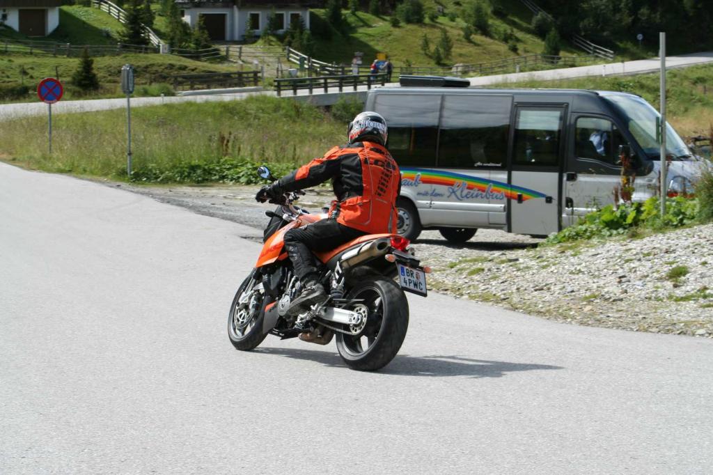 4.LC8.info_Brieftaube_086.JPG