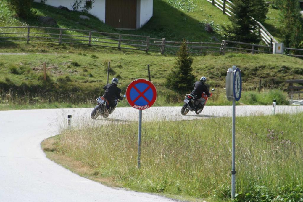 4.LC8.info_Brieftaube_098.JPG