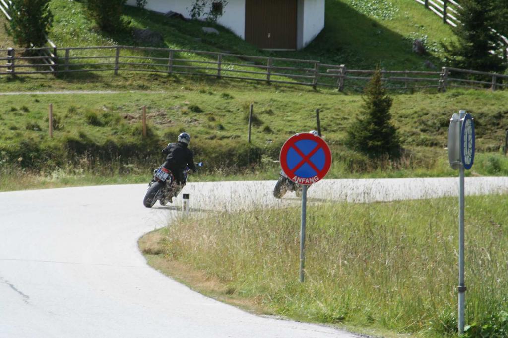 4.LC8.info_Brieftaube_099.JPG