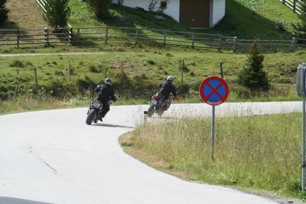 4.LC8.info_Brieftaube_100.JPG