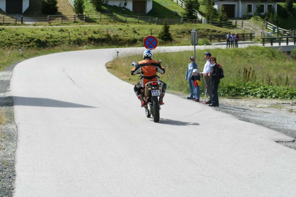 4.LC8.info_Brieftaube_110.JPG