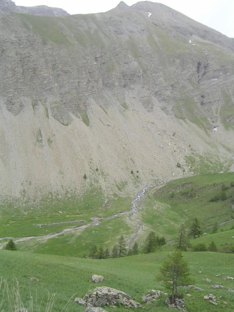 20060620-145954-IS.JPG