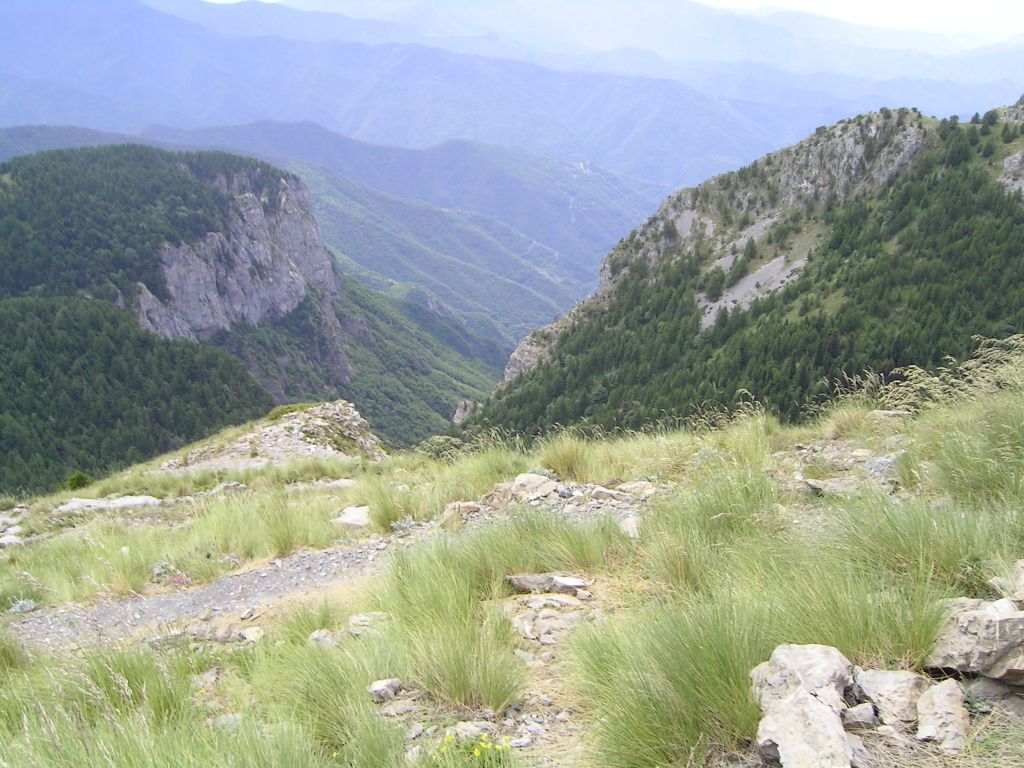 20060622-122140-IS.JPG