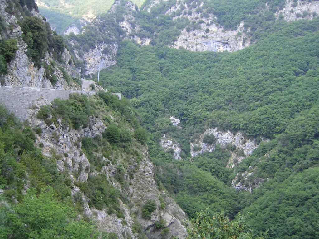 20060622-200230-IS.JPG