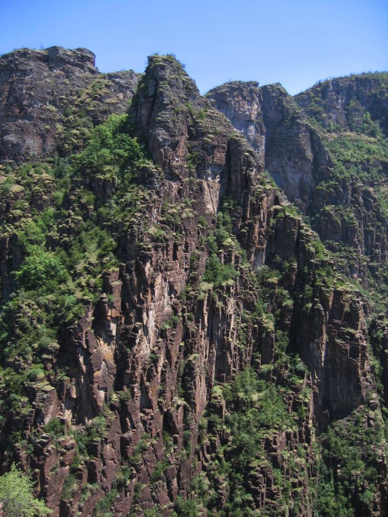 20060623-140948-PF.JPG