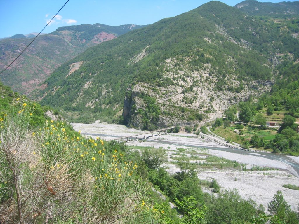 20060623-143142-TB.JPG