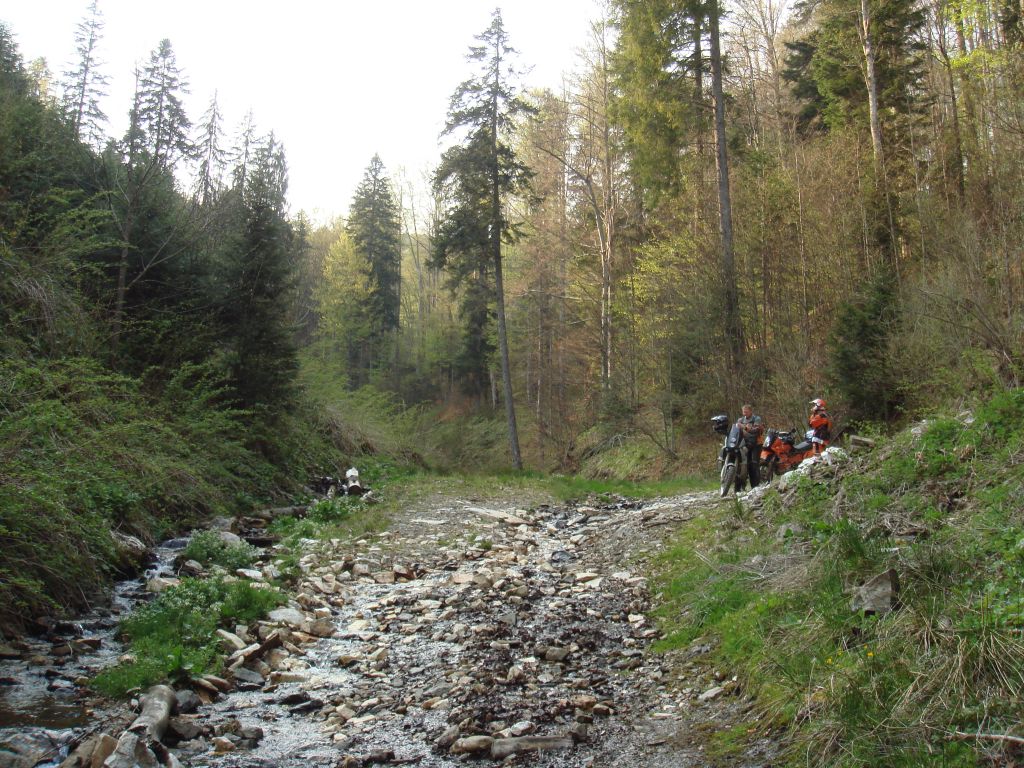 20070429-170724-MF.JPG