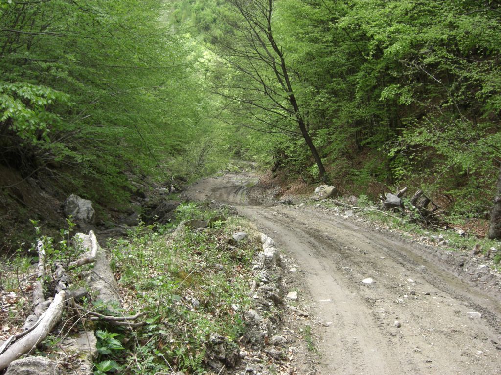 20070430-115338-MK.JPG