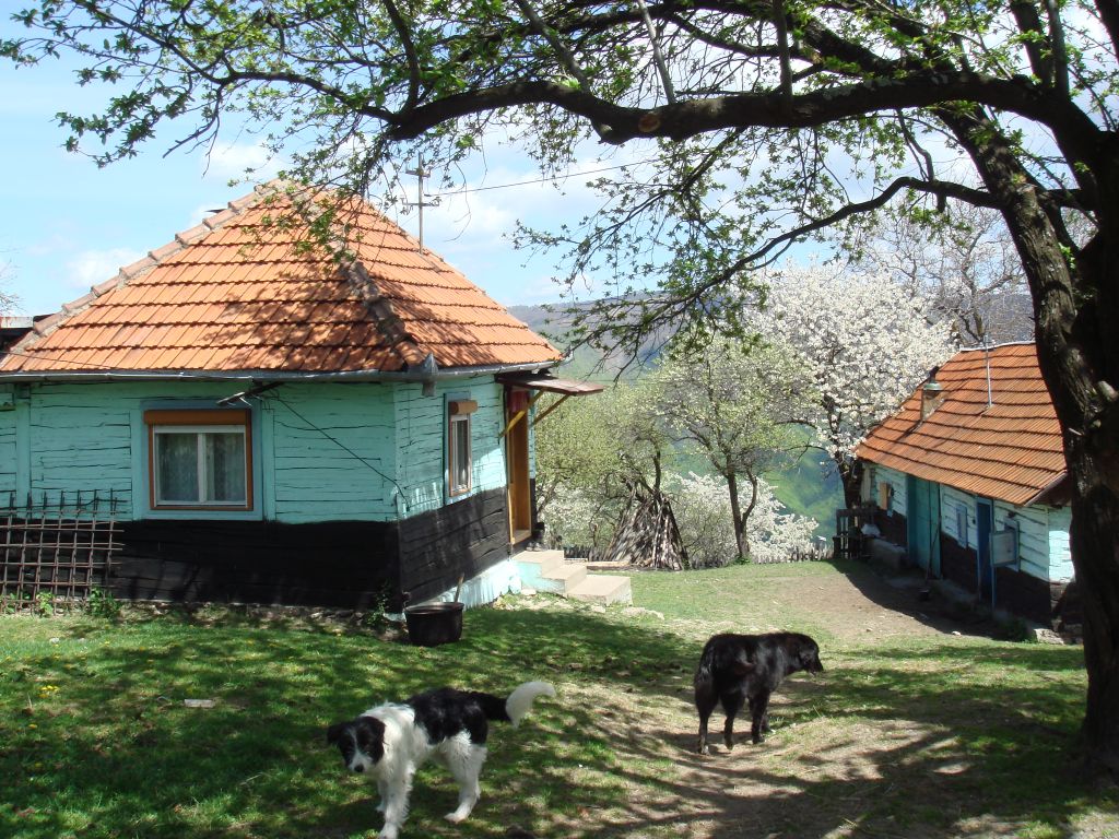 20070430-122252-MF.JPG