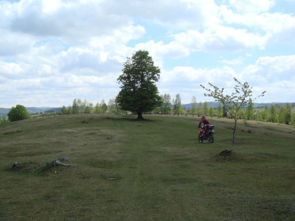 20070430-125106-MF.JPG