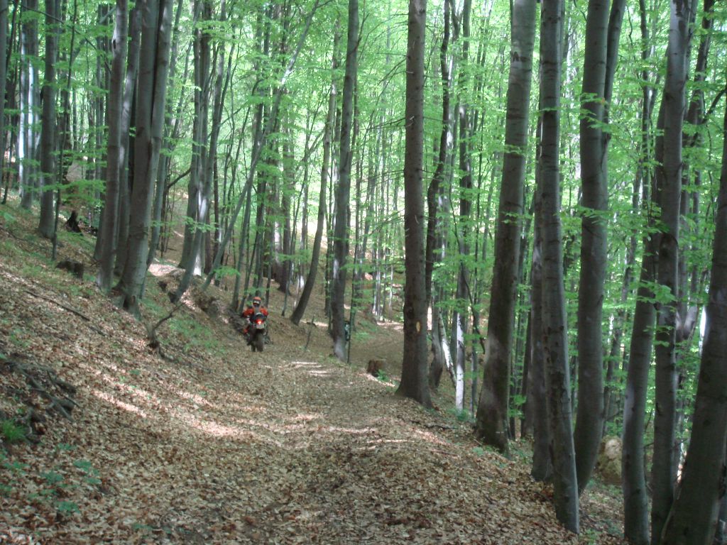 20070430-133306-MF.JPG
