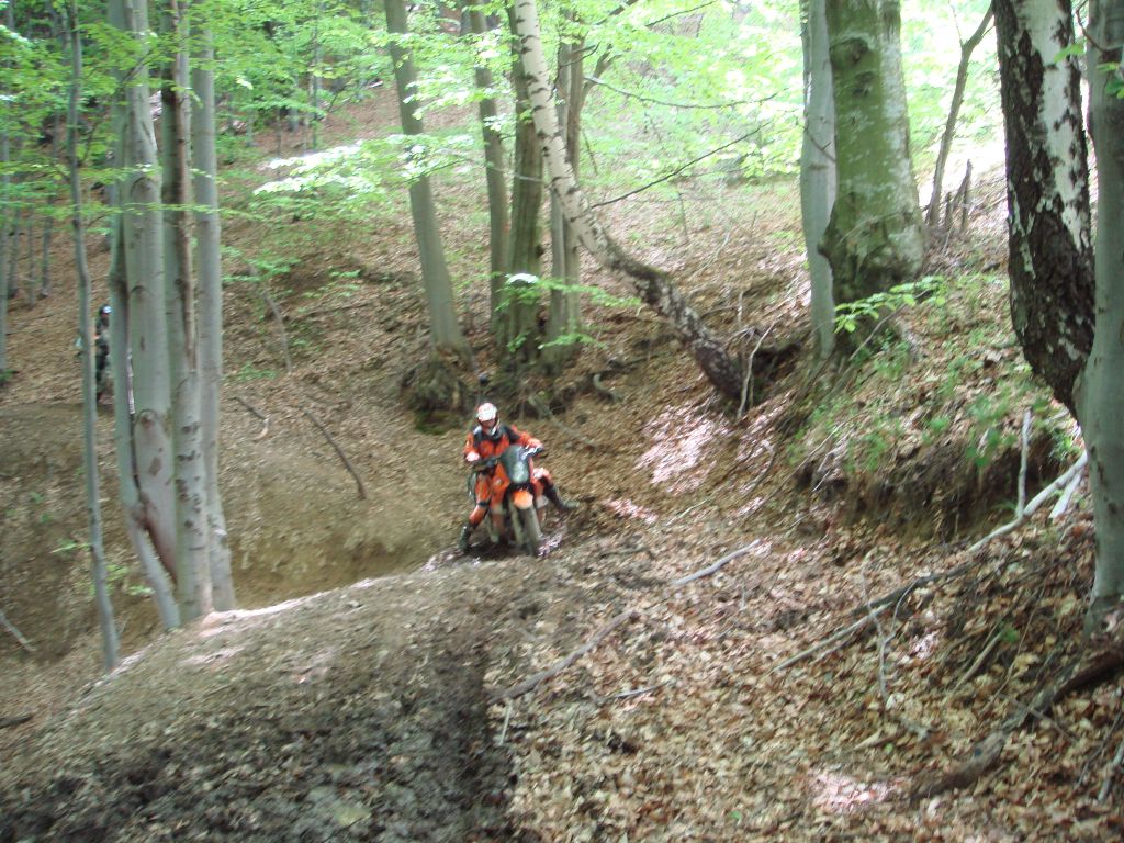 20070430-133656-MF.JPG