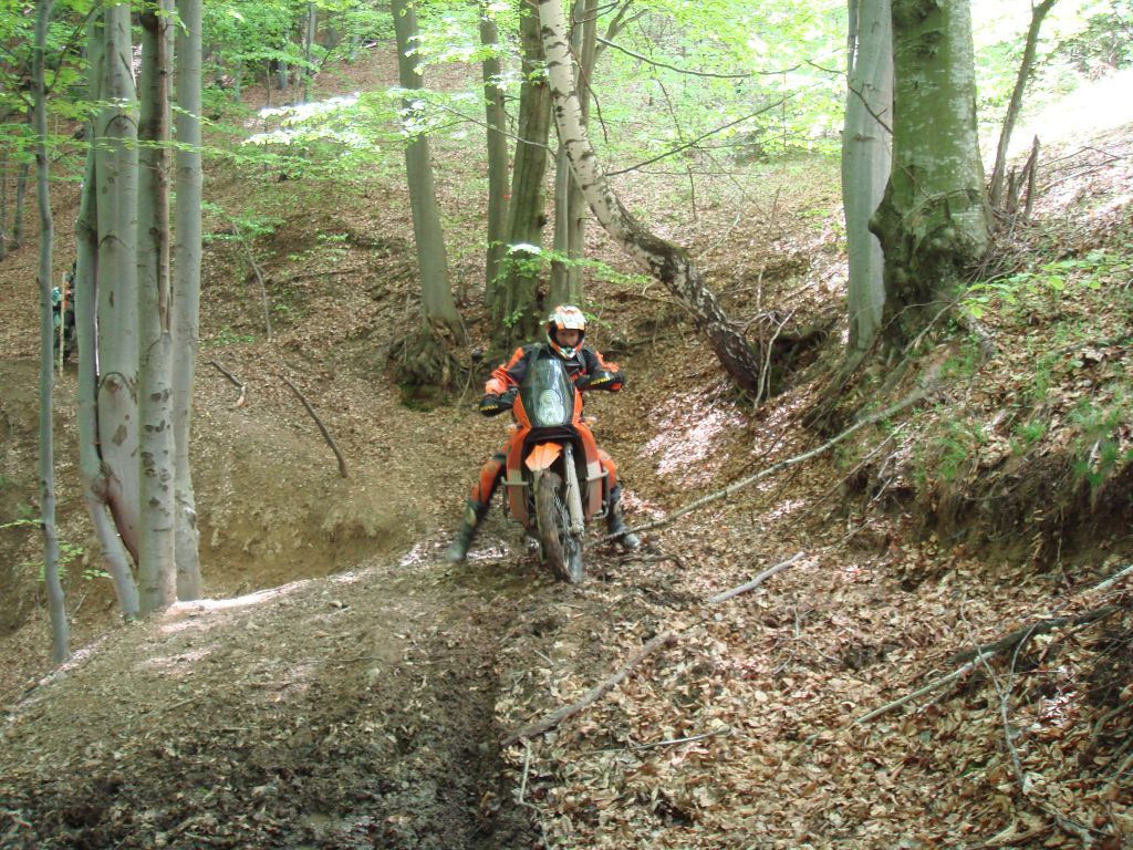 20070430-133658-MF.JPG