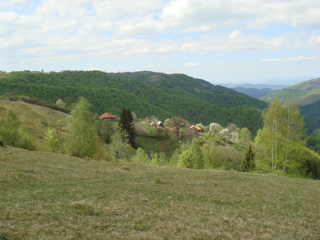 20070430-133916-MF.JPG
