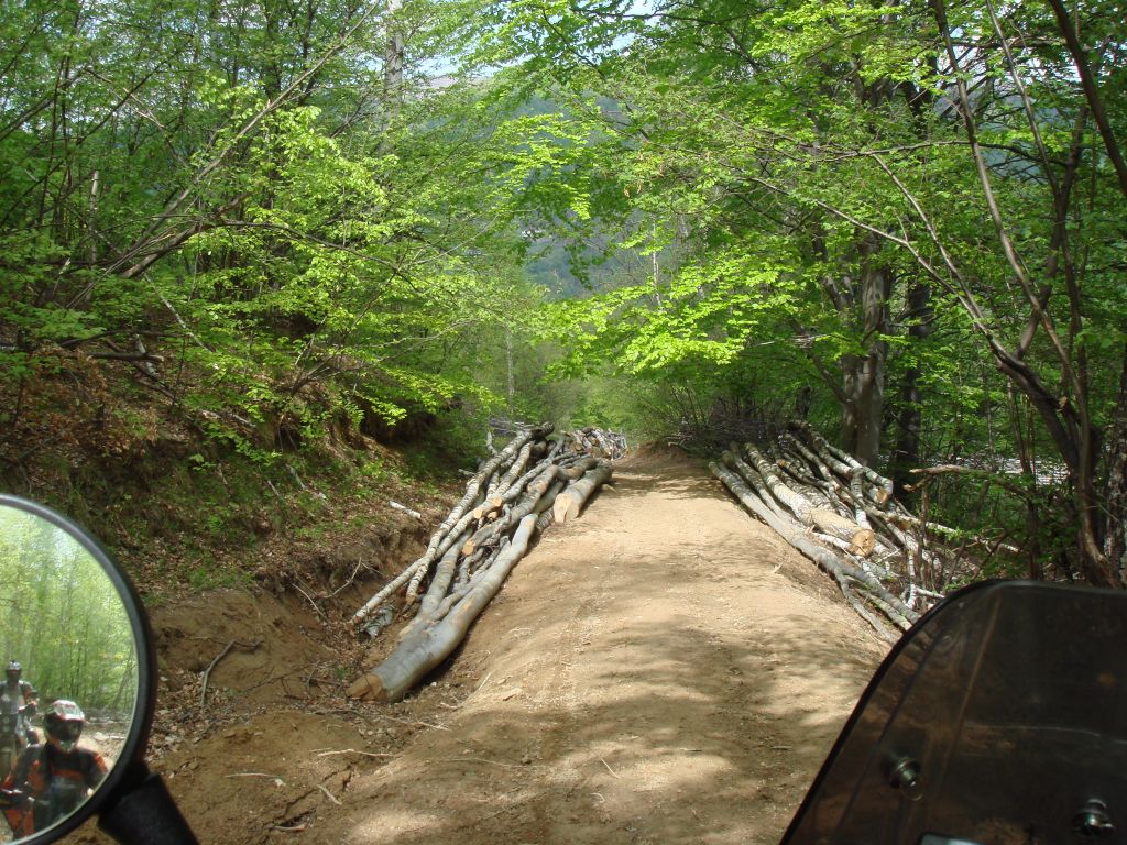 20070430-134316-MF.JPG