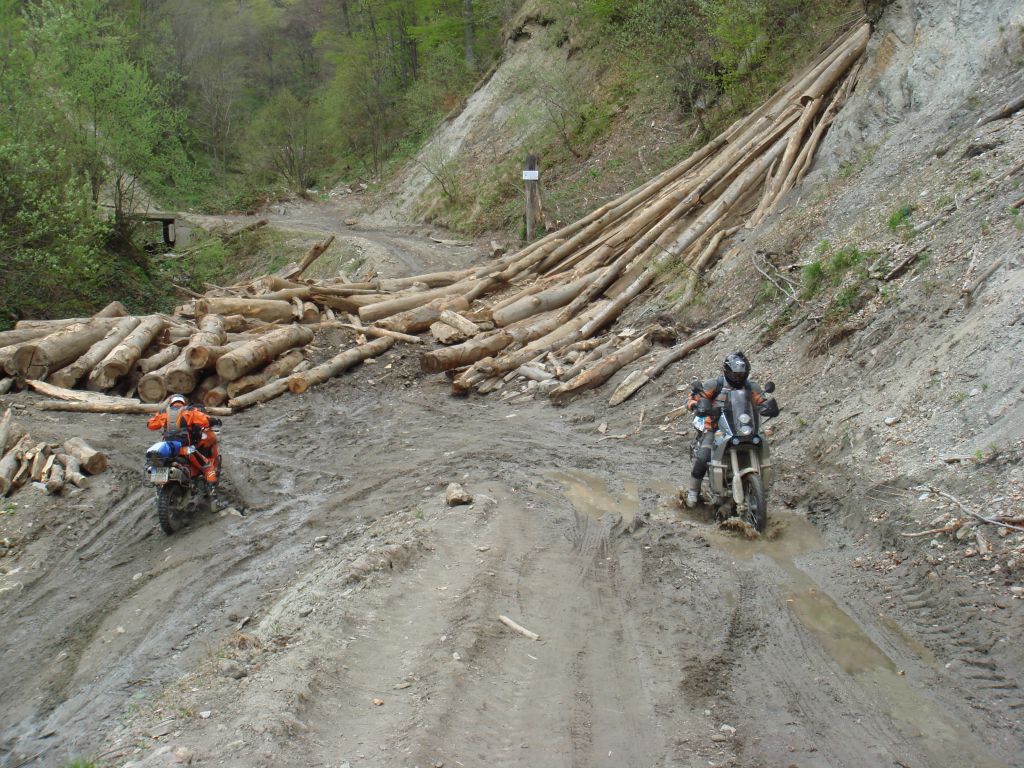 20070430-145130-MF.JPG
