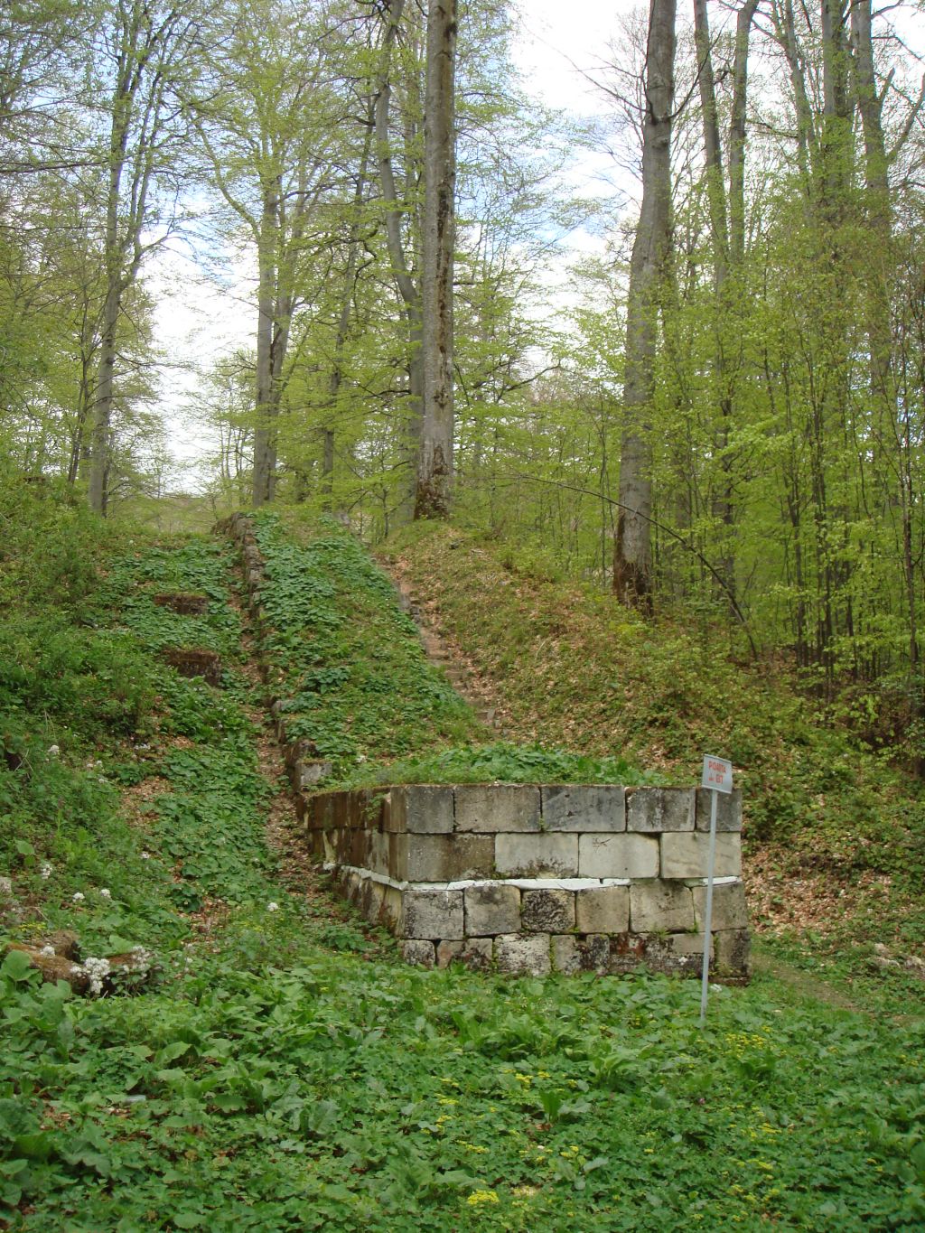 20070430-145914-MF.JPG