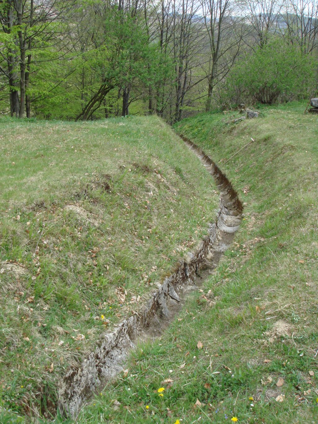 20070430-151214-MF.JPG