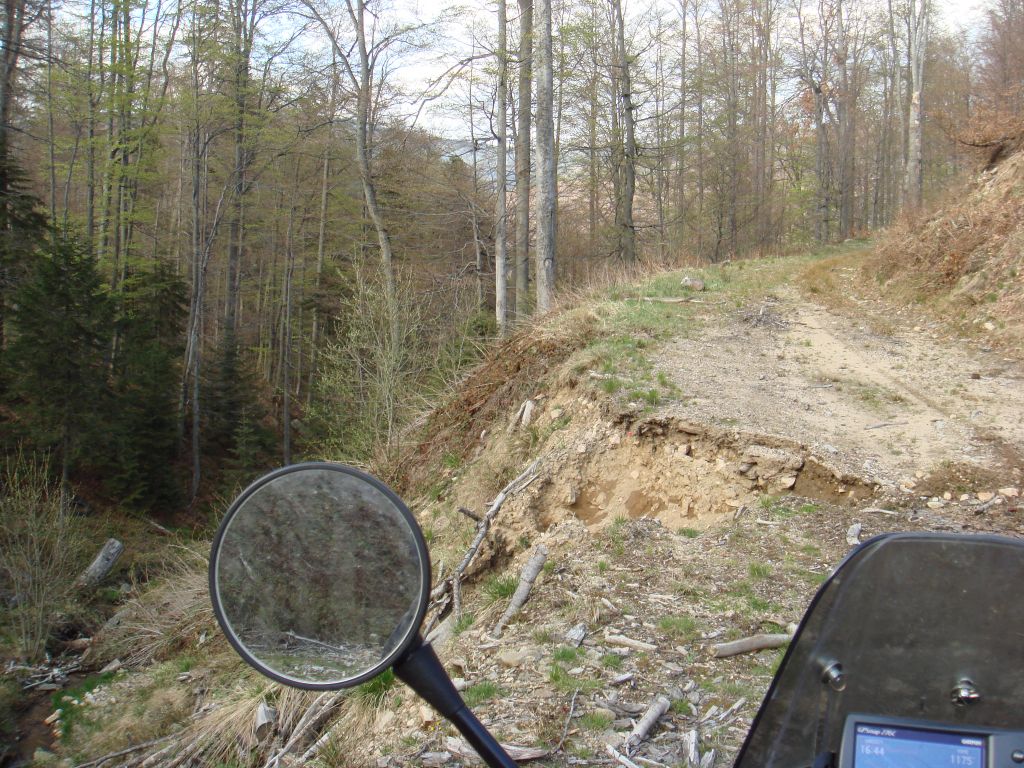 20070430-164448-MF.JPG