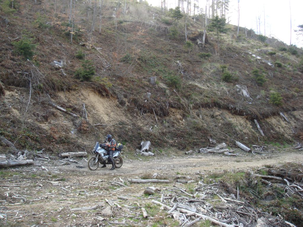 20070430-164452-MF.JPG