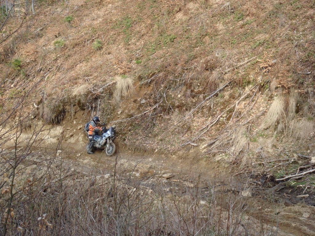 20070430-171908-MF.JPG