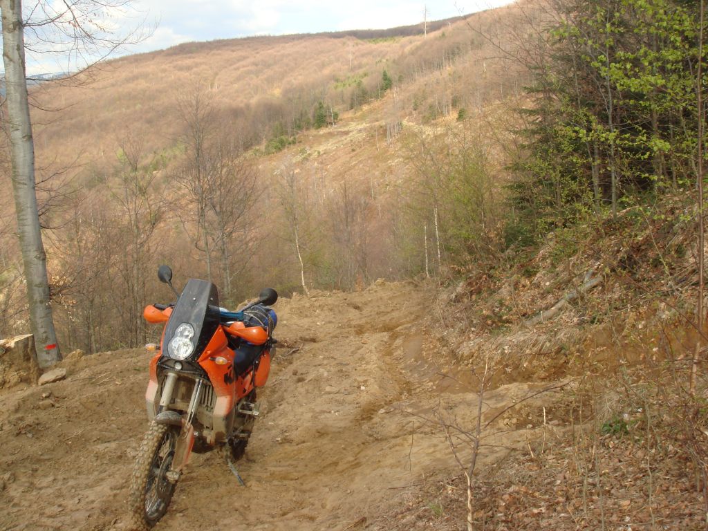 20070430-172312-MF.JPG