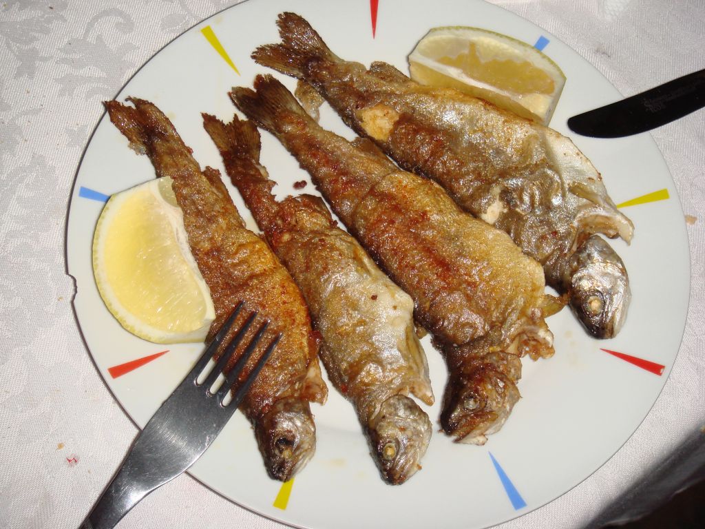 20070430-204950-MF.JPG